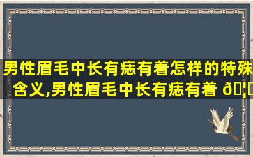 男性眉毛中长有痣有着怎样的特殊含义,男性眉毛中长有痣有着 🦁 怎样的特殊 🐶 含义